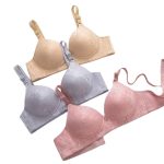 Ladies Plain Foam Padded Bra