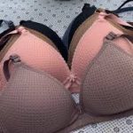 Ladies Fancy Double Padded Bra