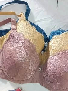 Ladies Embroidered Lace Push-Up Bra