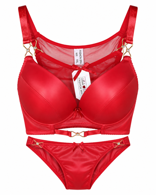elegant lather top penty bra