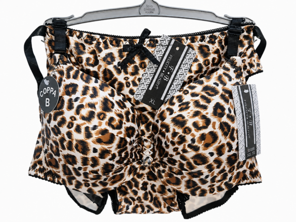 Leopard Print Lace penty Bra set